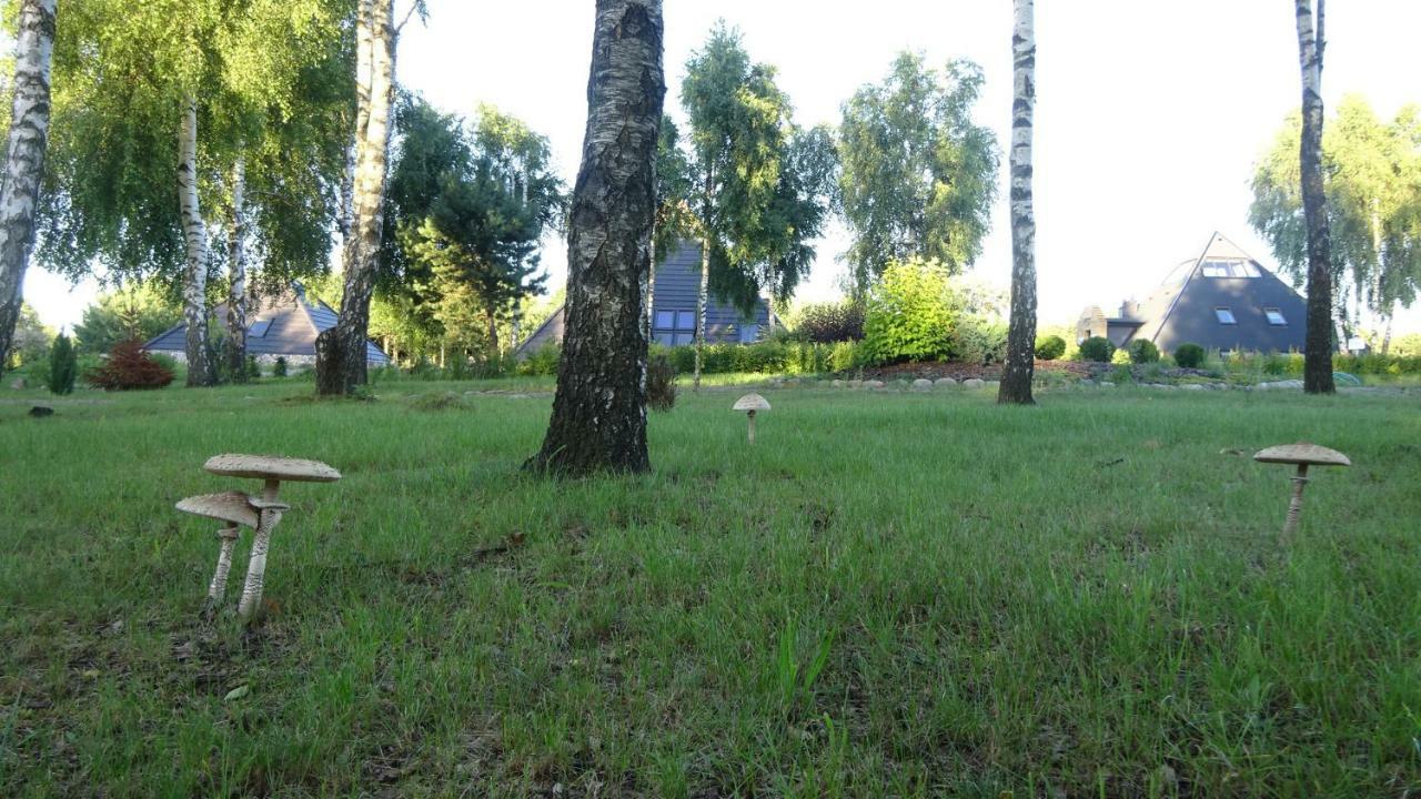 Apartment Tudobrze W Piramidach